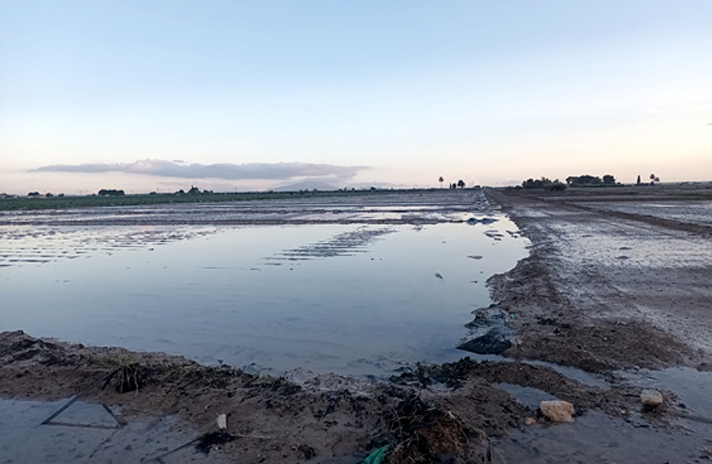 Coag solicita ayudas tras el paso de la borrasca Emilia por Totana